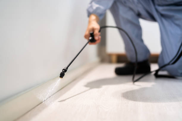 Licensed Pest Control service in Jonesville, NC - Show Me Pest Control