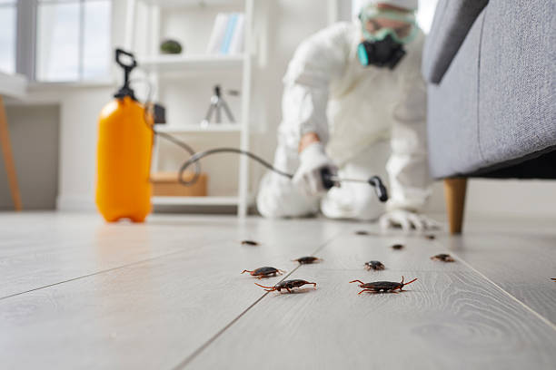 Commercial Kitchen Cockroach Control in Jonesville